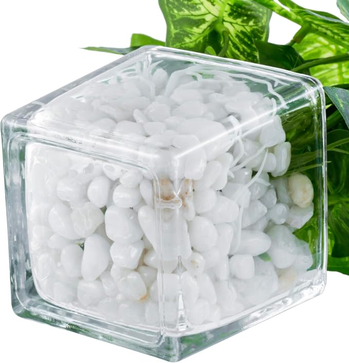 MyGift Artificial Clover and Taro Plants in Clear Glass Vase - Image 7