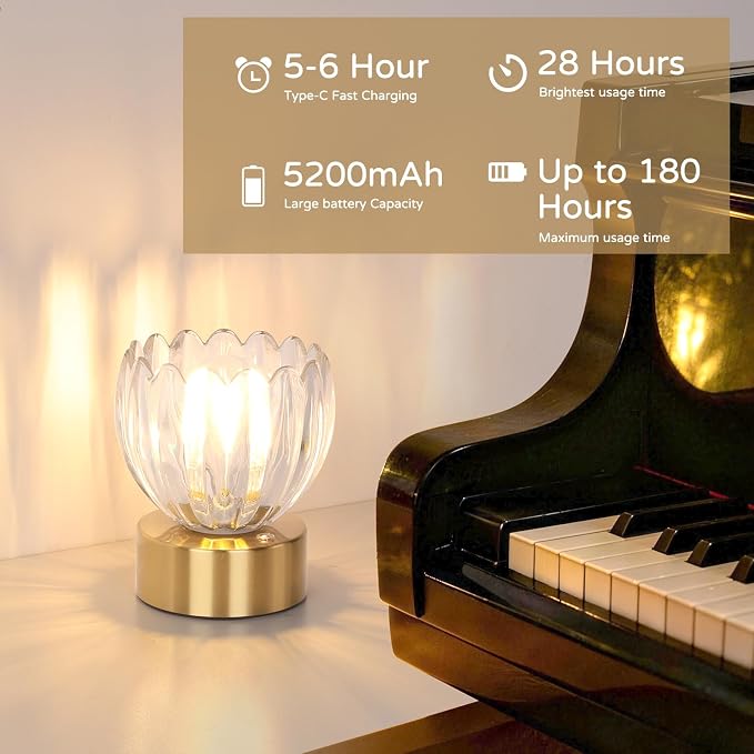 Shenmoyl Cordless Small Table Lamp - Image 6