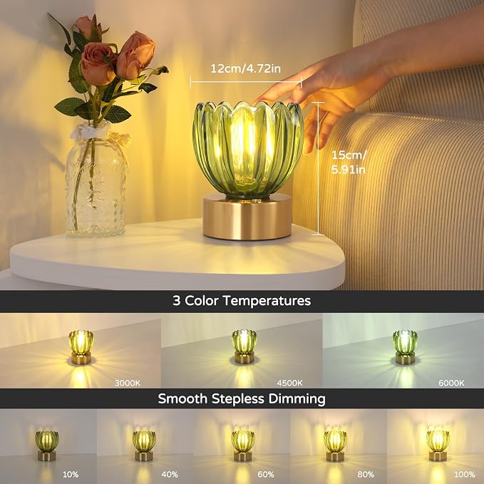 Shenmoyl Cordless Small Table Lamp - Image 3