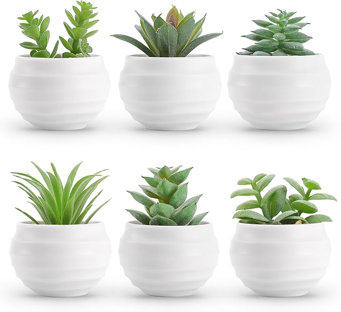 Der Rose Set of 6 Succulents Plants Artificial in Pots Small Fake Plants by DerRose