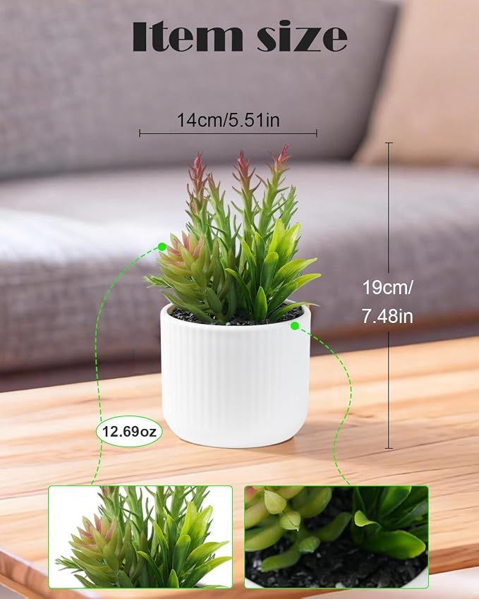 Faux Assorted Succulents - Image 2