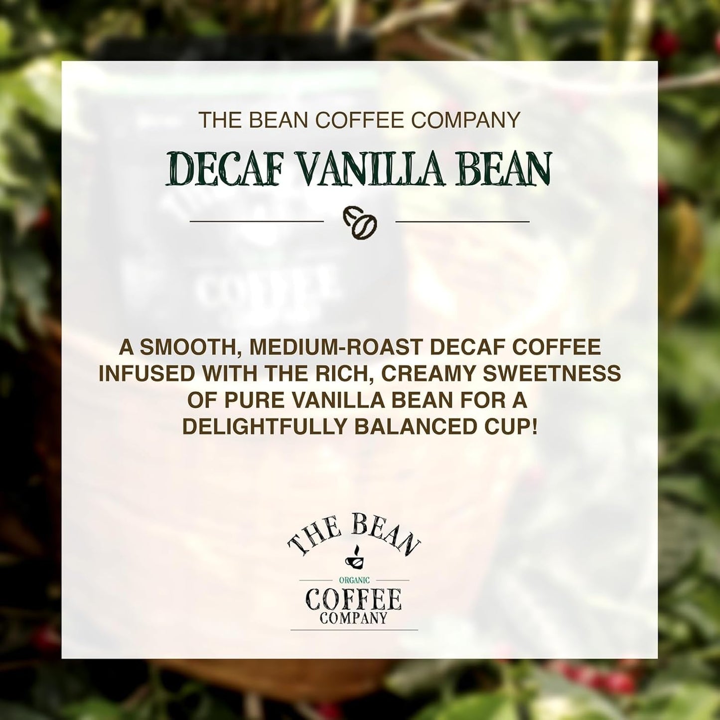 The Bean Organic Coffee Company Water Processed DECAF Vanilla Bean, Medium Roast, Whole Bean Coffee, 16-Ounce Bags (Pack of 2)