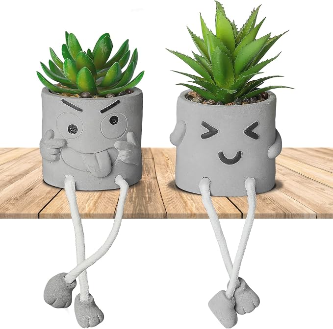 Creative Artificial Succulent Plants in pots by INFTYLE