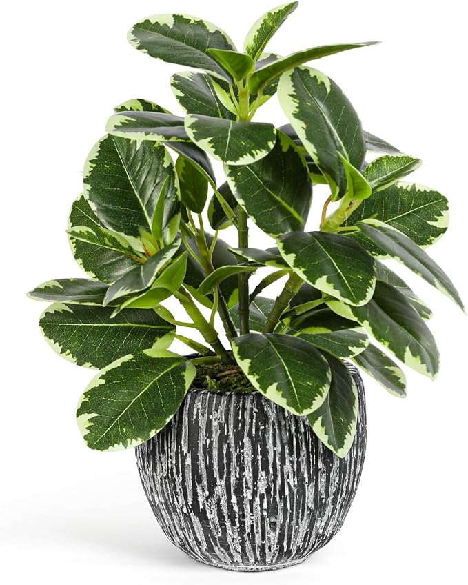 Artificial Plants Indoor Outdoor, Faux Variegated Oak Leaf Plant, Fake Potted by SHOHAYTO