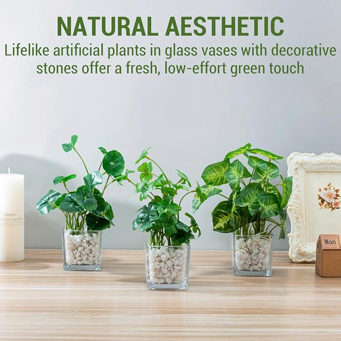 MyGift Artificial Clover and Taro Plants in Clear Glass Vase - Image 2