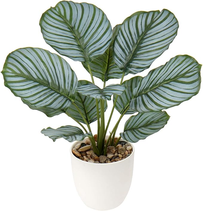 Briful 18'' Tall Fake Plant Realistic Faux Calathea Plant Artificial Plant by Briful