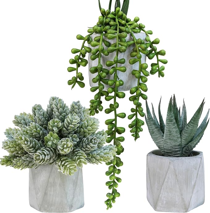 Winlyn Set of 3 Mini Artificial Succulent Plants Potted Small Fake Aloe Hops by Winlyn
