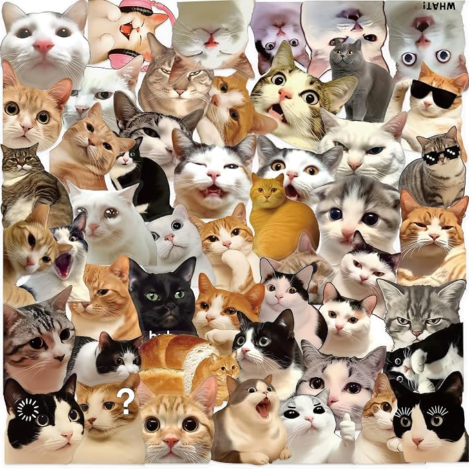 50 PCS Cat Meme Stickers, Transparent PET Waterproof Cute Decals by Fsbgttyc