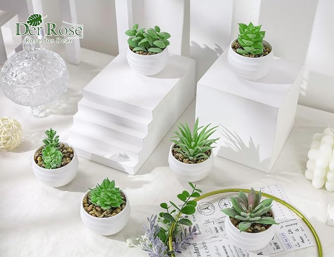 Der Rose Set of 6 Succulents Plants Artificial in Pots Small Fake Plants - Image 4