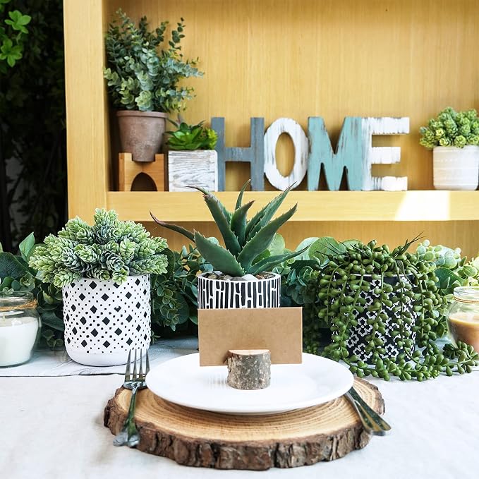 Winlyn 3 Pcs Small Potted Succulents Plants Artificial Aloe Hops String of - Image 4