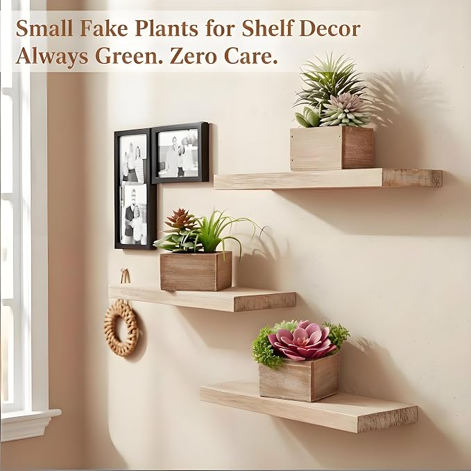 Succulent Plants Artificial, 3 Pack Small Fake Plants in Wood Pot - Image 6