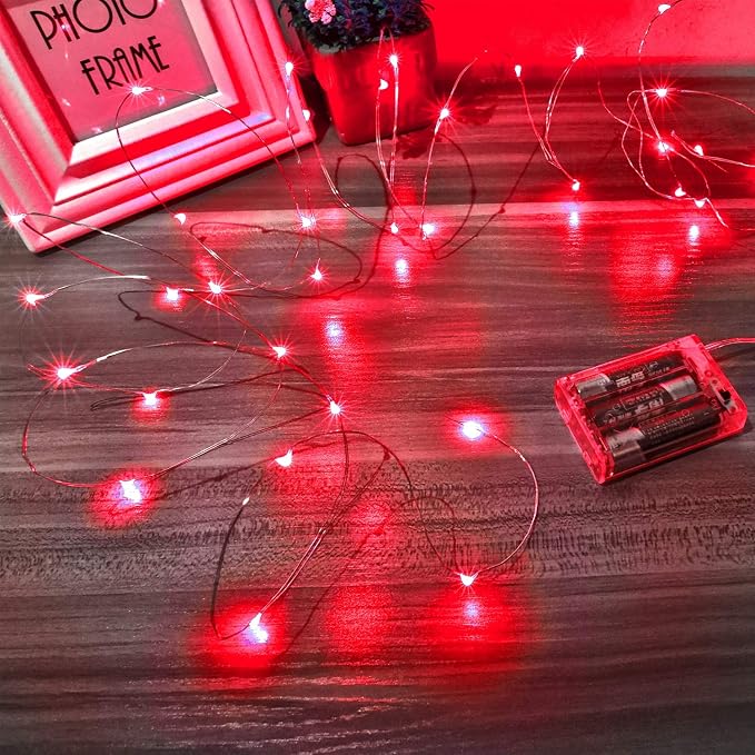 Ariceleo Led Fairy Lights Battery Operated, 2 Packs Mini Battery Powered Copper by Ariceleo