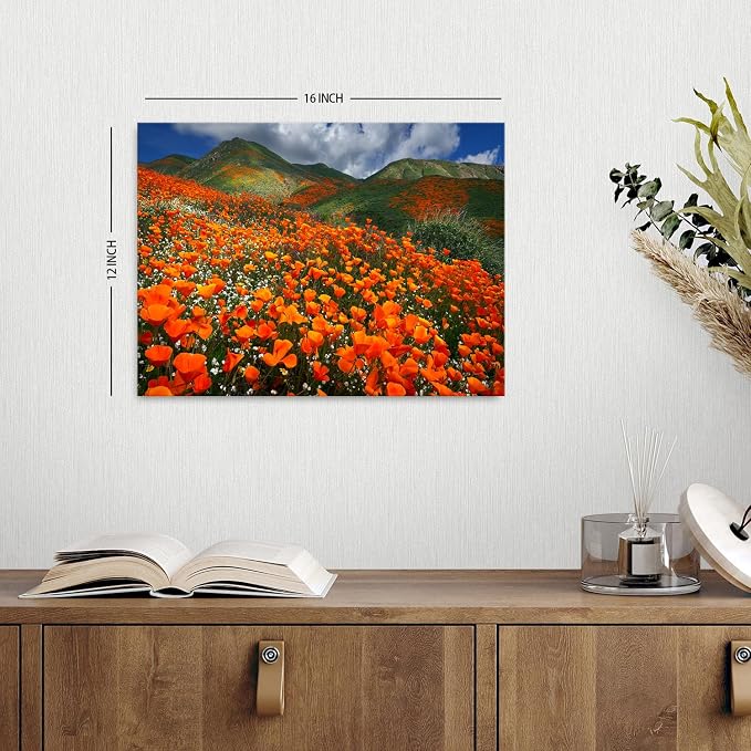 Orange Poppy Canvas Wall Art Nature Forest Mountain Landscape Pictures Wall - Image 2