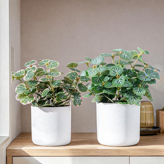 Small Artificial Plants Desk Potted Plants by Unknown