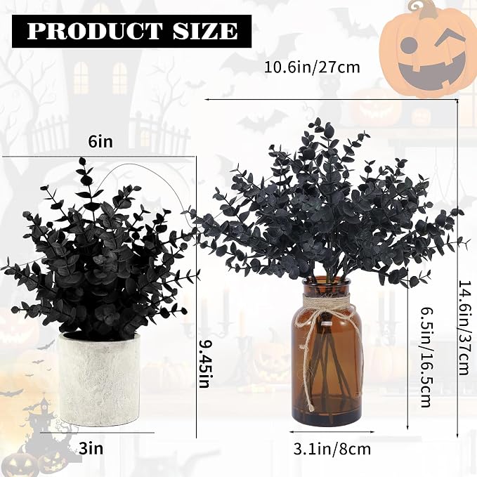 Coferset Black Eucalyptus Stems in Glass Vase - Image 6