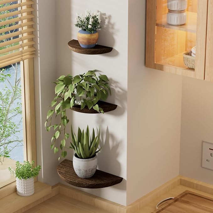 QsQueen Solid Wood Half Round Floating Wall Shelves | Elegant Floating Shelves - Image 5