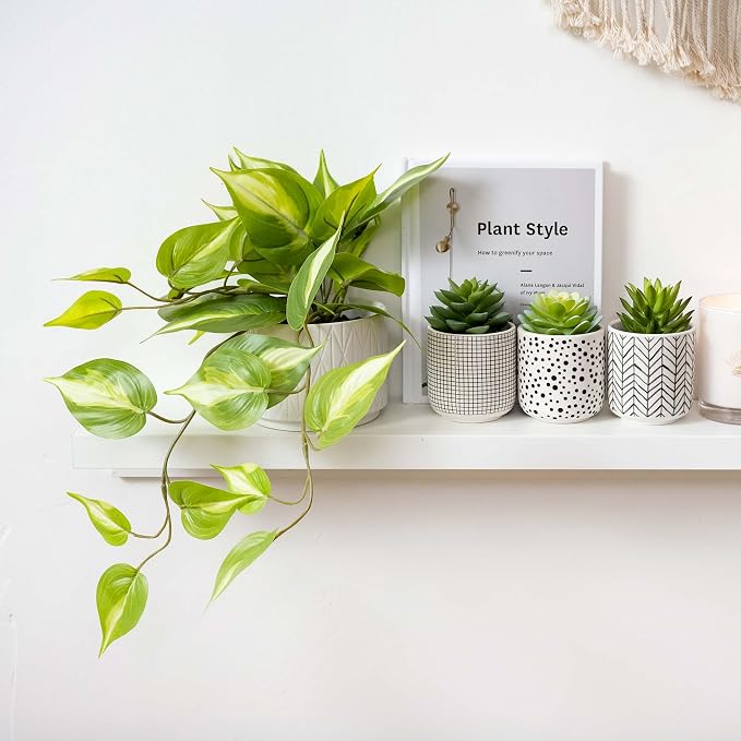 Kurrajong Farmhouse Light Green Fake pothos Plant | Fake Plant - Image 2