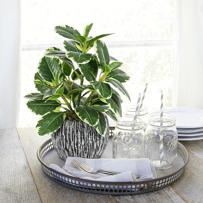 Artificial Plants Indoor Outdoor, Faux Variegated Oak Leaf Plant, Fake Potted - Image 5