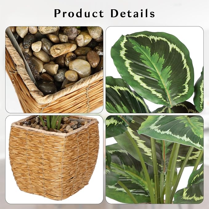 Briful Fake Plants Potted Calathea Medallion Artificial Plants Indoor Realistic - Image 3