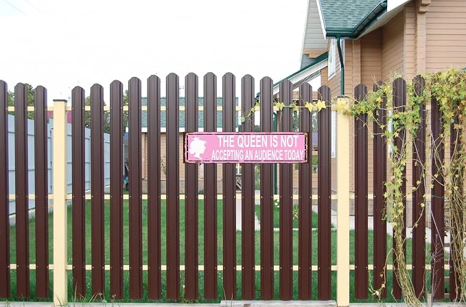 The Queen Is Not Accepting An Audience Today Sign, Rustic Metal Wall Art - Image 4