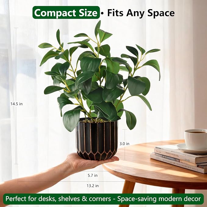 florisso Artificial Succulents - Image 4