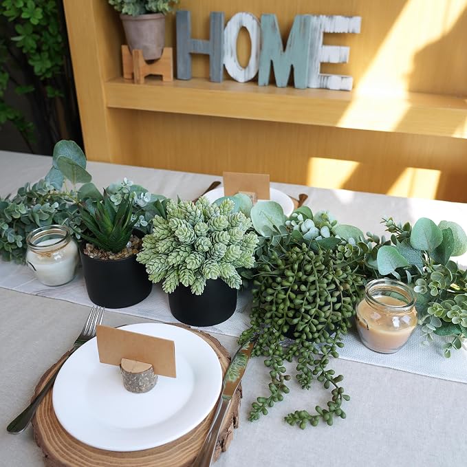 Winlyn Set of 3 Small Artificial Potted Succulent Plants Faux Aloe Hops String - Image 4