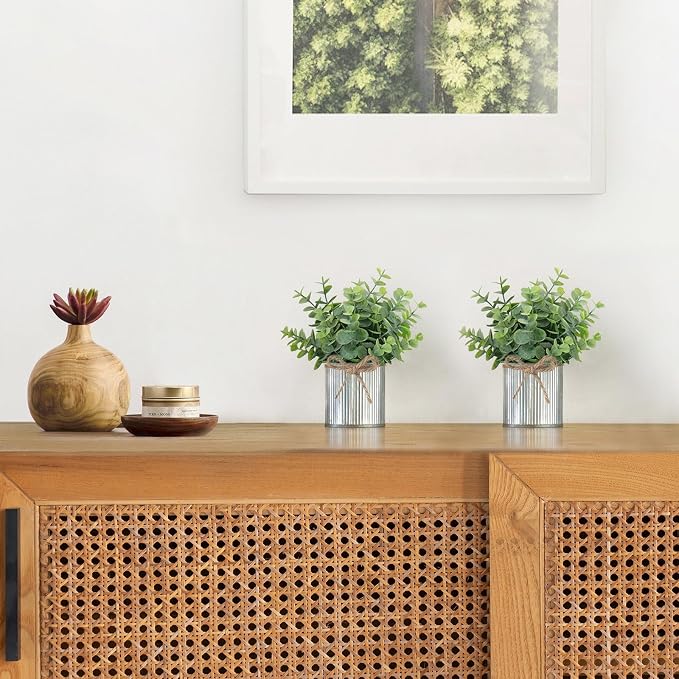 Mkono 2 Packs Small Fake Plants in Farmhouse Galvanized Pots Table Centerpiece - Image 5