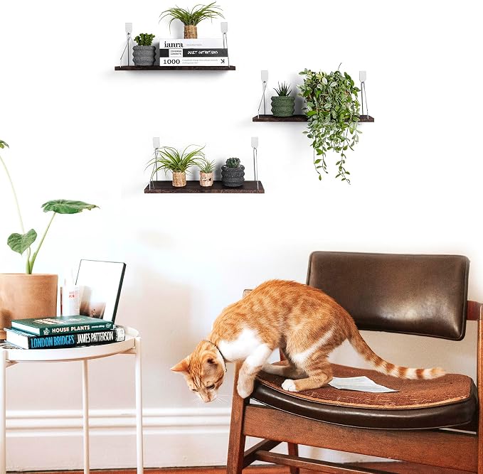 Floating Shelves Set of 3 Rustic Solid Wood Floating Shelf Wall Storage Shelves - Image 9