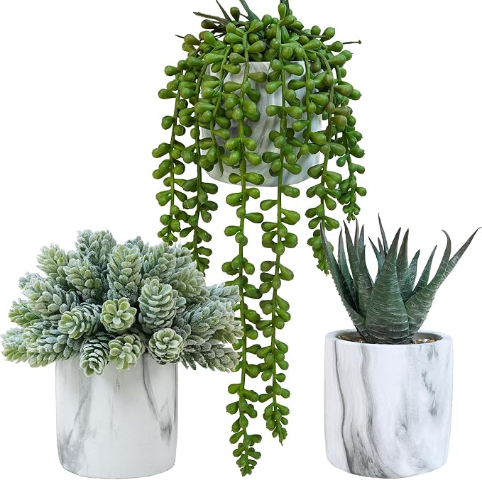 Winlyn Set of 3 Small Artificial Succulent Potted Plants Fake Aloe Hops String by Winlyn