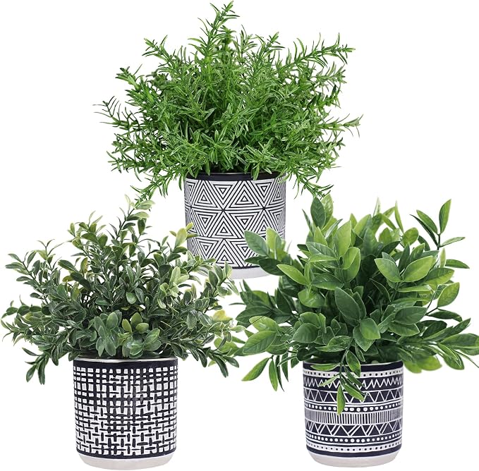 Winlyn Set of 3 Small Potted Plants Artificial Eucalyptus Rosemary Boxwood by Winlyn