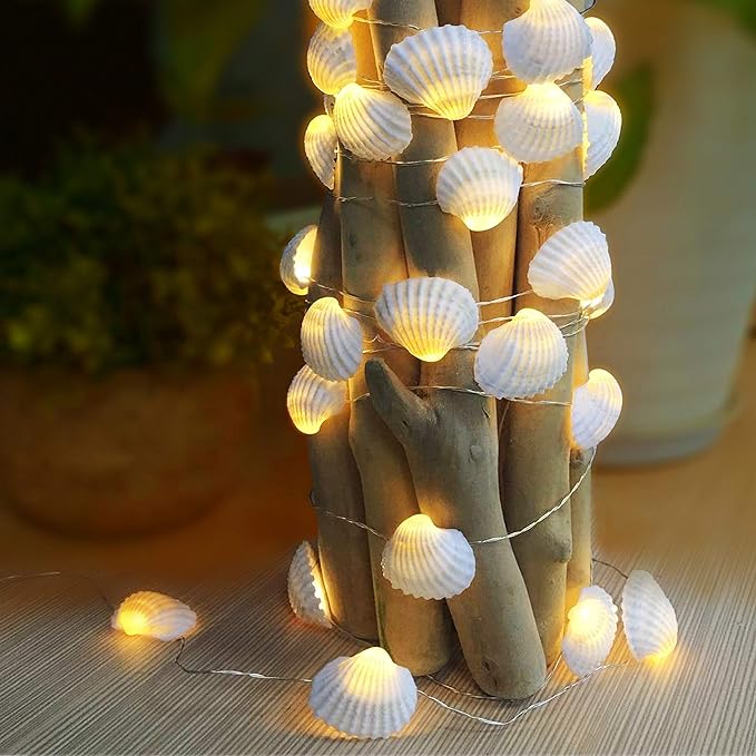 WSgift Natural Beach Seashell String Lights 13.85 Ft 40 Warm White LED by WSgift