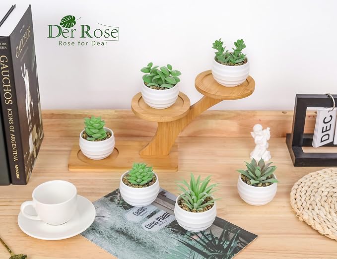 Der Rose Set of 6 Succulents Plants Artificial in Pots Small Fake Plants - Image 5
