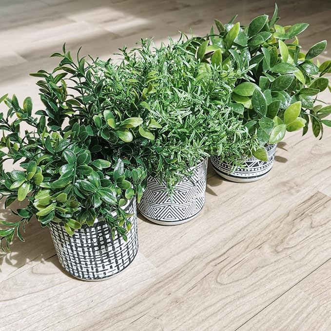 Winlyn Set of 3 Small Potted Plants Artificial Eucalyptus Rosemary Boxwood - Image 8