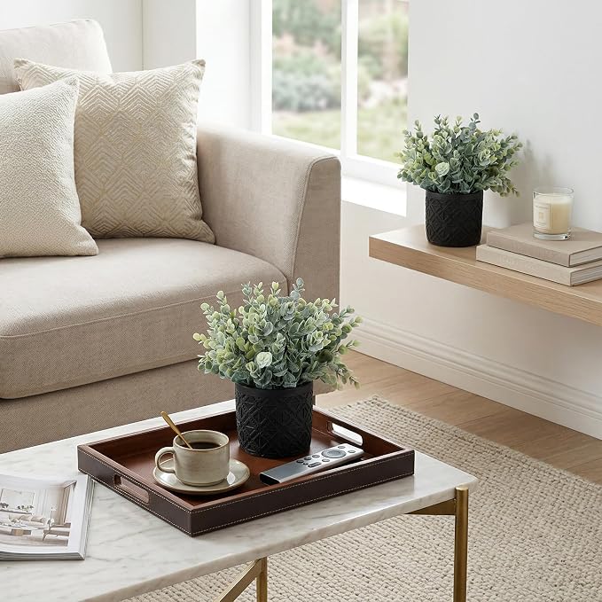 MyGift Artificial Eucalyptus Plant in Modern Gray Concrete Pots - Image 2