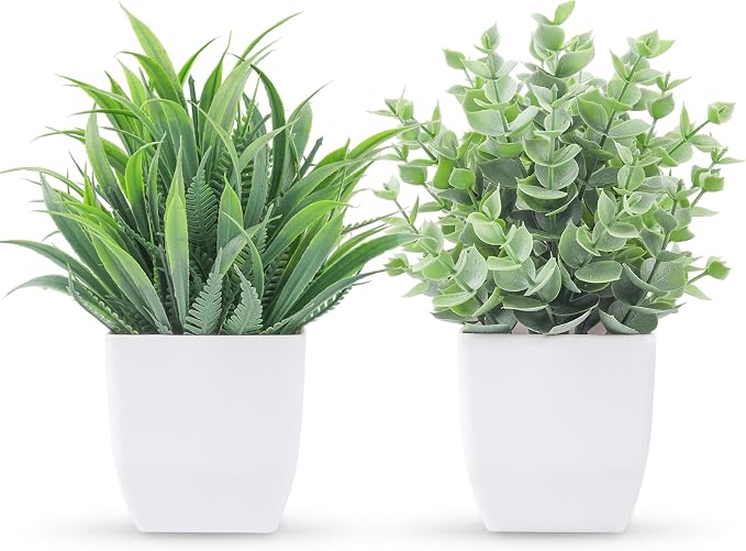 Der Rose 2 Pack Small Fake Plants Mini Artificial Potted Plants by DerRose