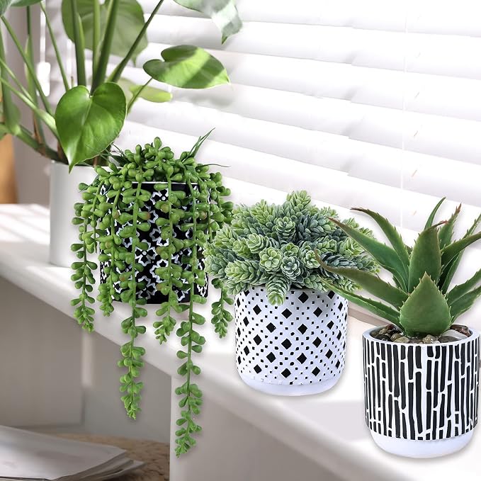 Winlyn 3 Pcs Small Potted Succulents Plants Artificial Aloe Hops String of - Image 5