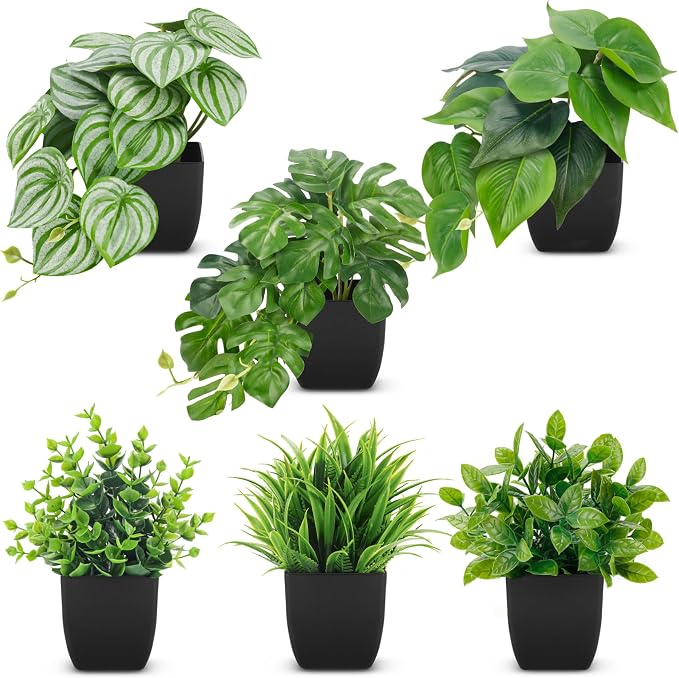 Der Rose 6 Pack Fake Plants Small Artificial Plants in Black Pots by DerRose