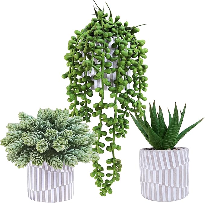 Winlyn 3 Pack Small Faux Succulent Plants Fake String of Pearls Aloe Hops by Winlyn