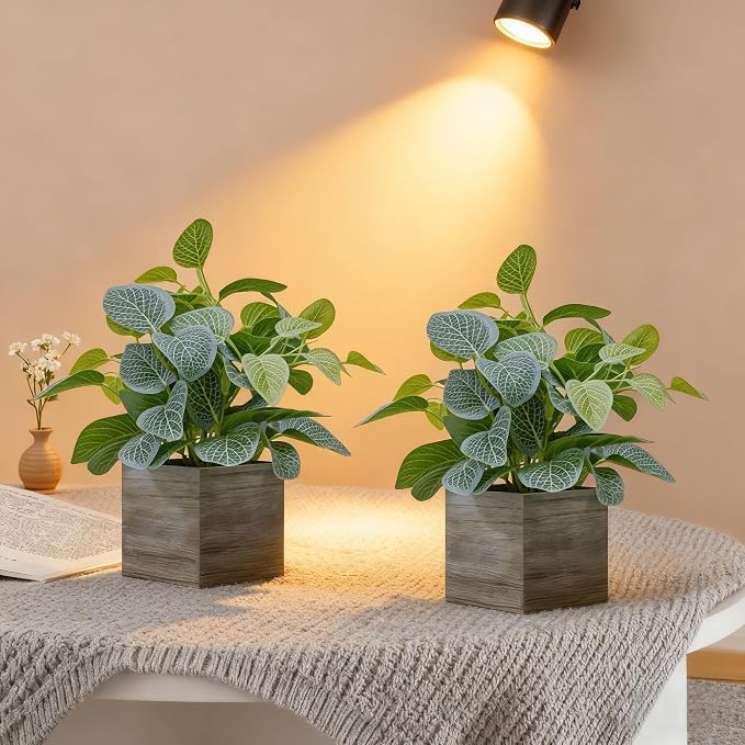 2 Pack 12" Medium Eucalyptus Fake Plants, Artificial Plants Indoor by Nztze%E2%80%93EverlastingGreenery