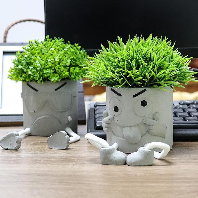 MAKHOT 2 Pack Cute Artificial Succulent Plants - Image 2
