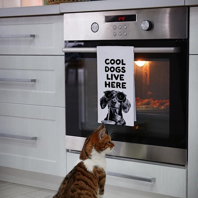 Funny Dog Dachshund Kitchen Towels, Cool Dogs Live Here Dish Towel Gifts - Image 5