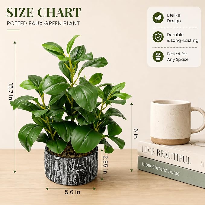 Der Rose 15.7" Artificial Plants Indoor, Money Leaf Fake Plants in Pot - Image 4