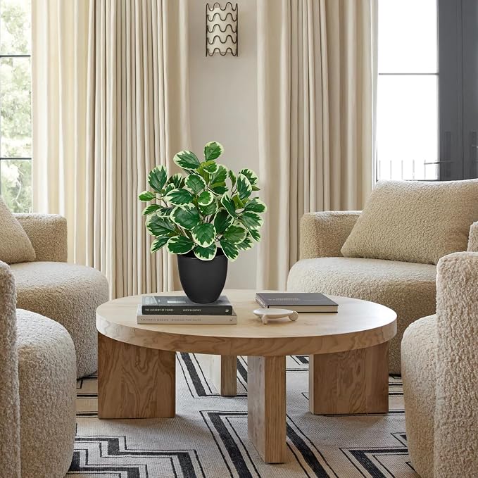 Villa Como 14.5" Artificial Plants Indoor Home Decor, Fake Potted Silk Plants - Image 3
