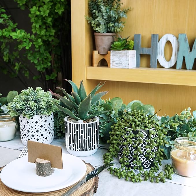 Winlyn 3 Pcs Small Potted Succulents Plants Artificial Aloe Hops String of - Image 3