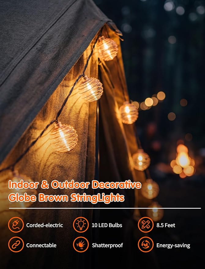 SUNSGNE Brown String Lights, Decorative Globe String Lights Plug in - Image 2