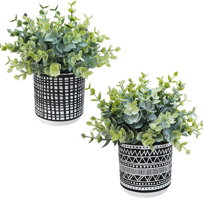 Winlyn Set of 2 Small Potted Plants Artificial Eucalyptus Plant in Black by Winlyn