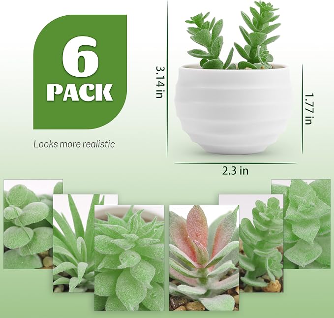 Der Rose Set of 6 Succulents Plants Artificial in Pots Small Fake Plants - Image 2