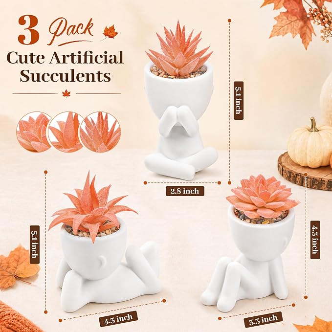 Der Rose Set of 3 Fall Artificial Succulent Plants, Small Fake Plants in Cute - Image 2