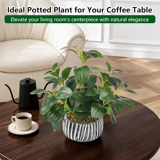 florisso Artificial Succulents - Image 10