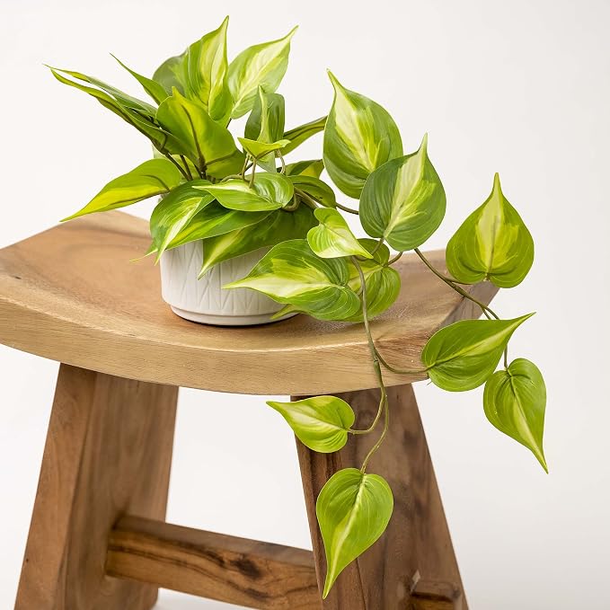 Kurrajong Farmhouse Light Green Fake pothos Plant | Fake Plant - Image 6